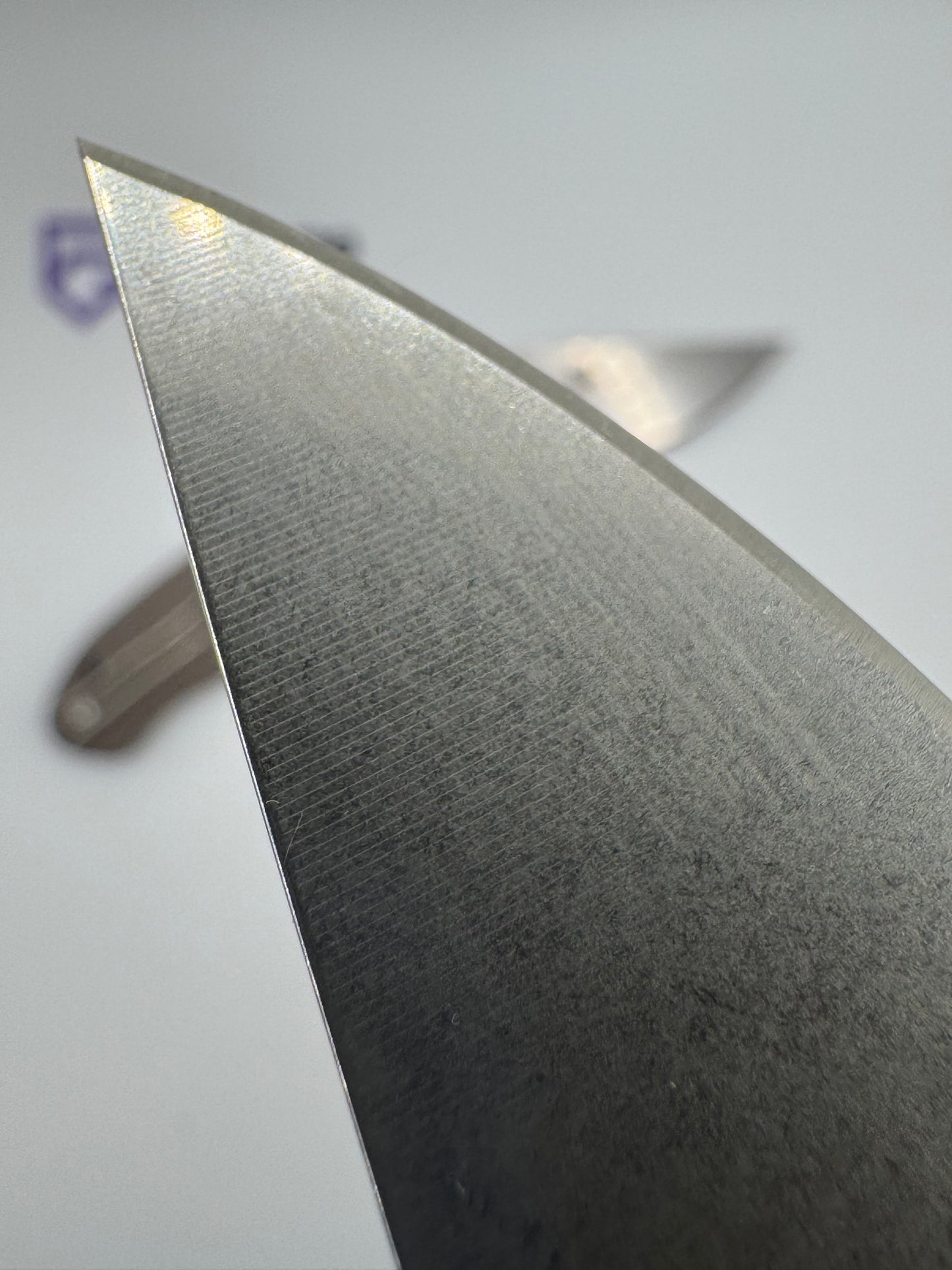 Para 3 Lightweight (P3LW) Seconds