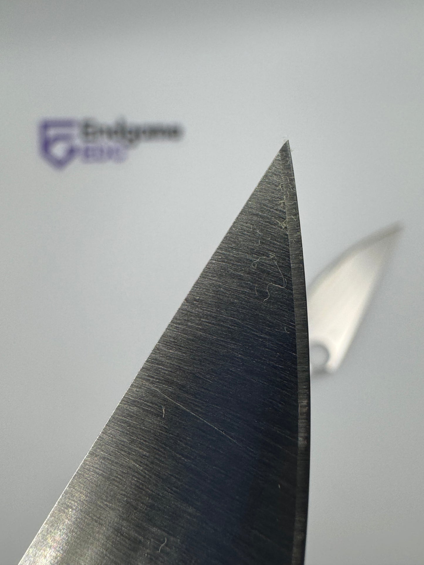 Para Military 2 (PM2) Seconds