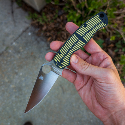 Para Military 2 (PM2)