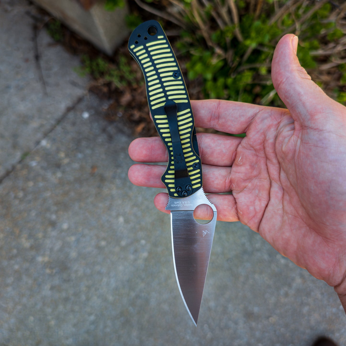 Para Military 2 (PM2)