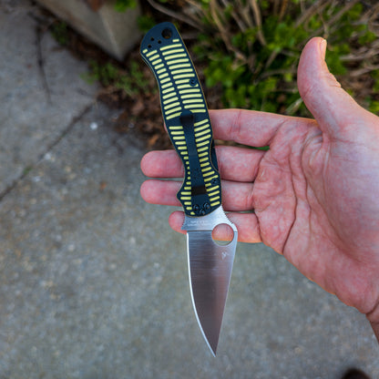 Para Military 2 (PM2)