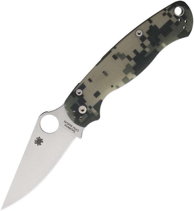 Para Military 2 (PM2)