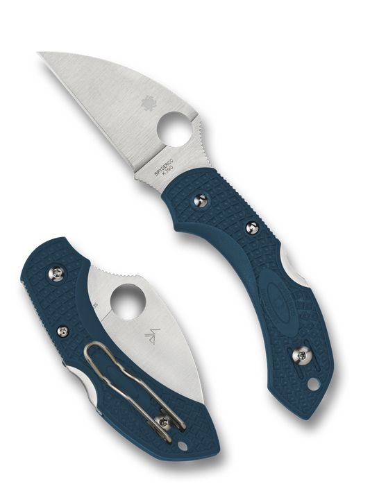 Dragonfly 2 Wharncliffe